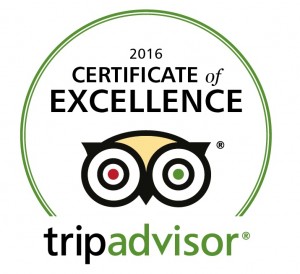 Routes Bicycle Tours Albuquerque New Mexico wins Tripadvisors Certificate of Excellence ABQ Bike