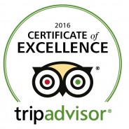 Routes Earns TripAdvisor’s Certificate of Excellence for 3rd Year in a Row!