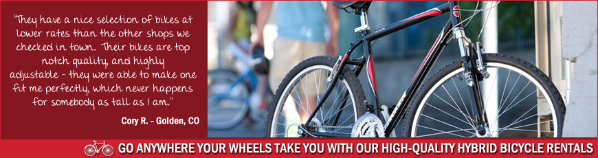 Routes Rentals & Tours, Albuquerque Bicycle Rentals Hybrids